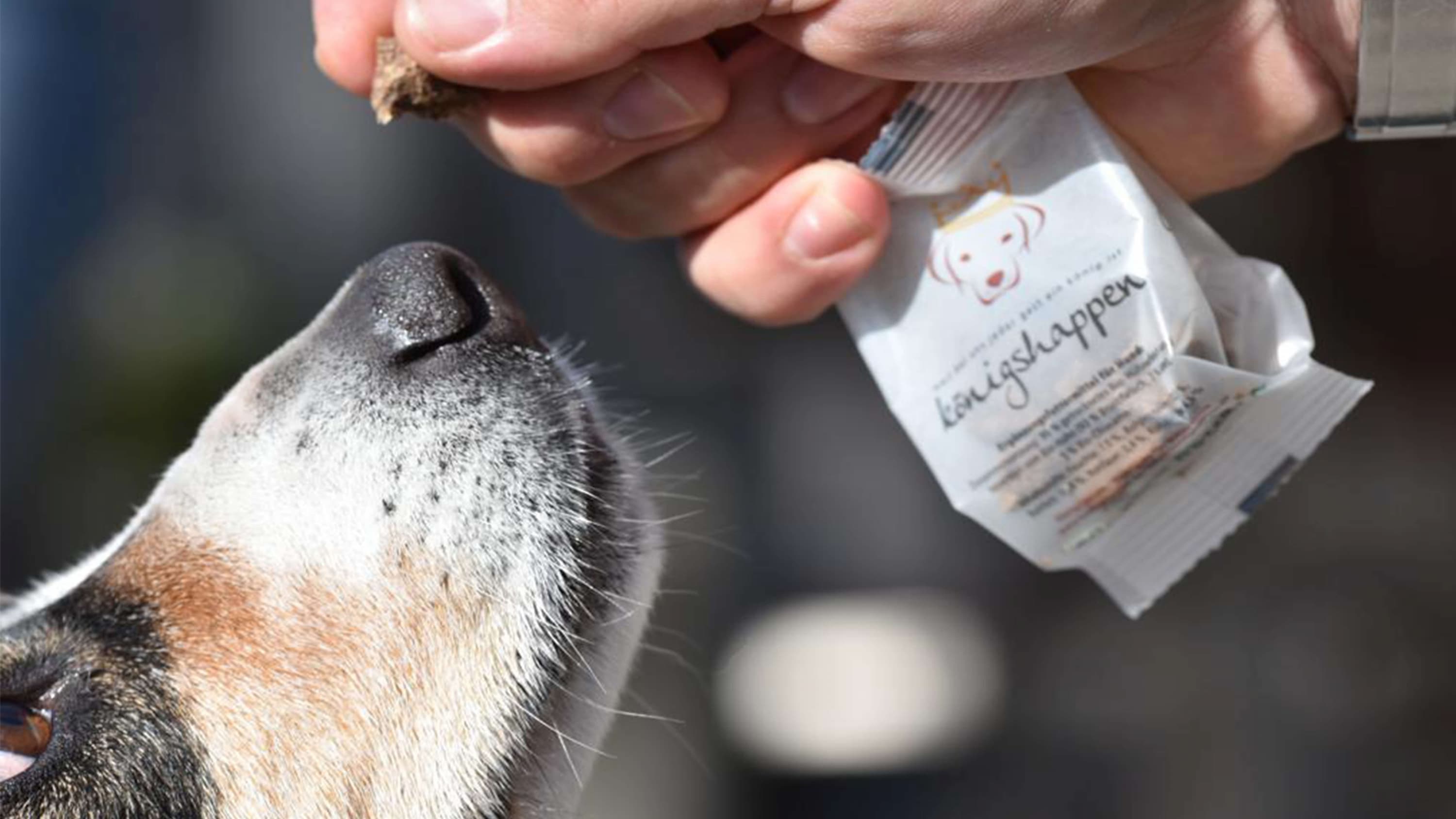 Königshappen Gästeglücklichmacher Königshappen Gästeglücklichmacher